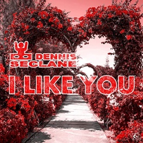 DENNIS SECLANE - I LIKE YOU